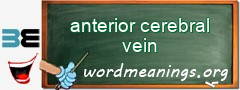 WordMeaning blackboard for anterior cerebral vein